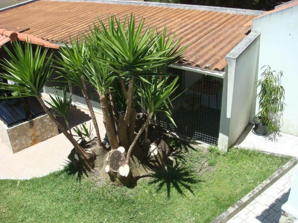 Casa De Hospedes Flor Do Jardim Malveira Exterior photo